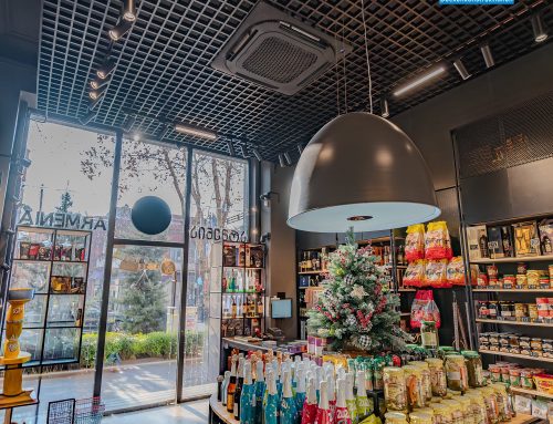 Armenia Store, Тбилиси