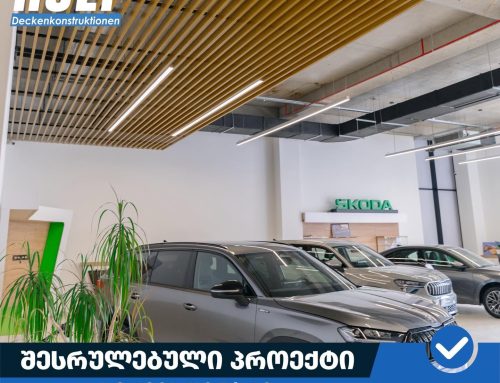 Skoda ცენტრი თბილისი | ROLF-ის მორიგი პროექტი